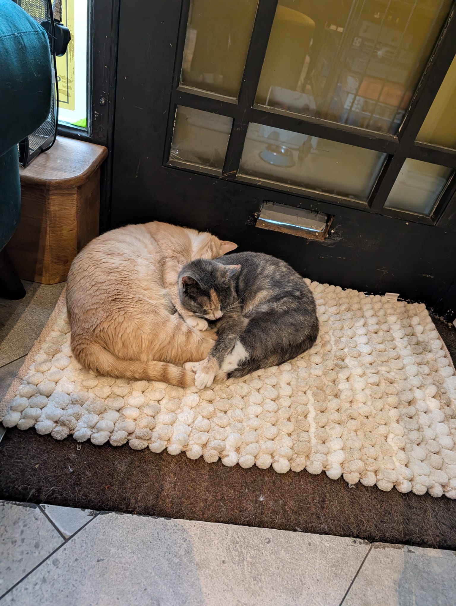 Helen & Rupert