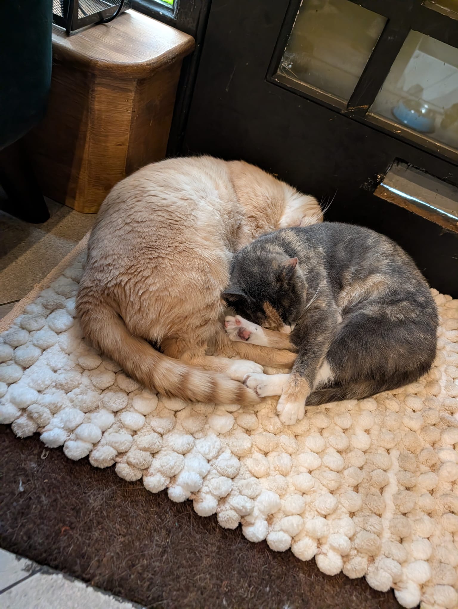Helen & Rupert