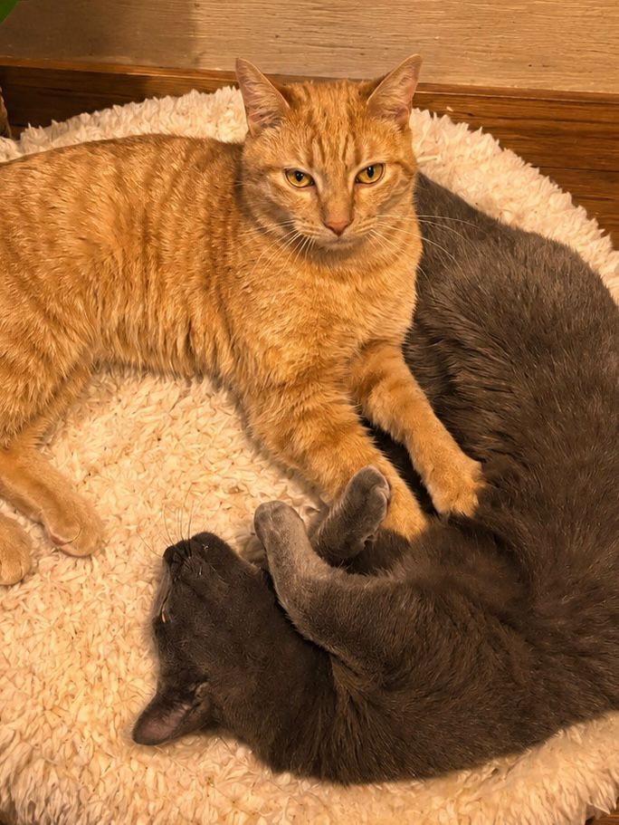 Barry & Jack
