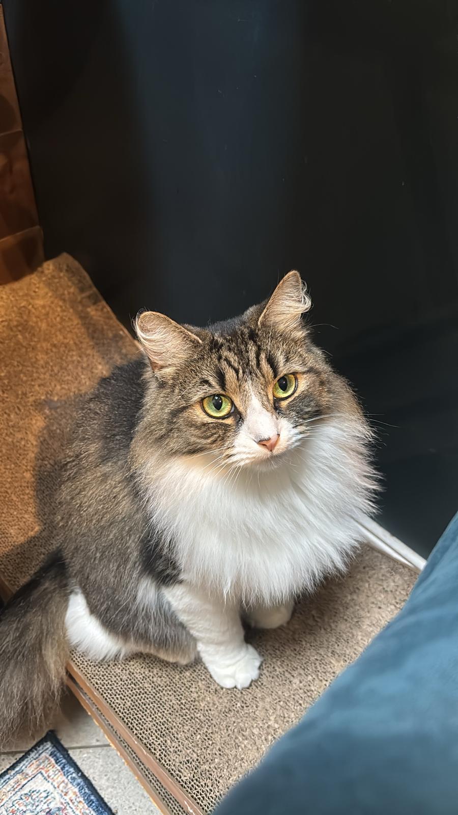 Millie