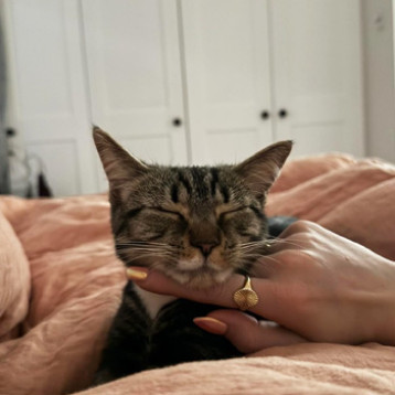 Molly (Juno)